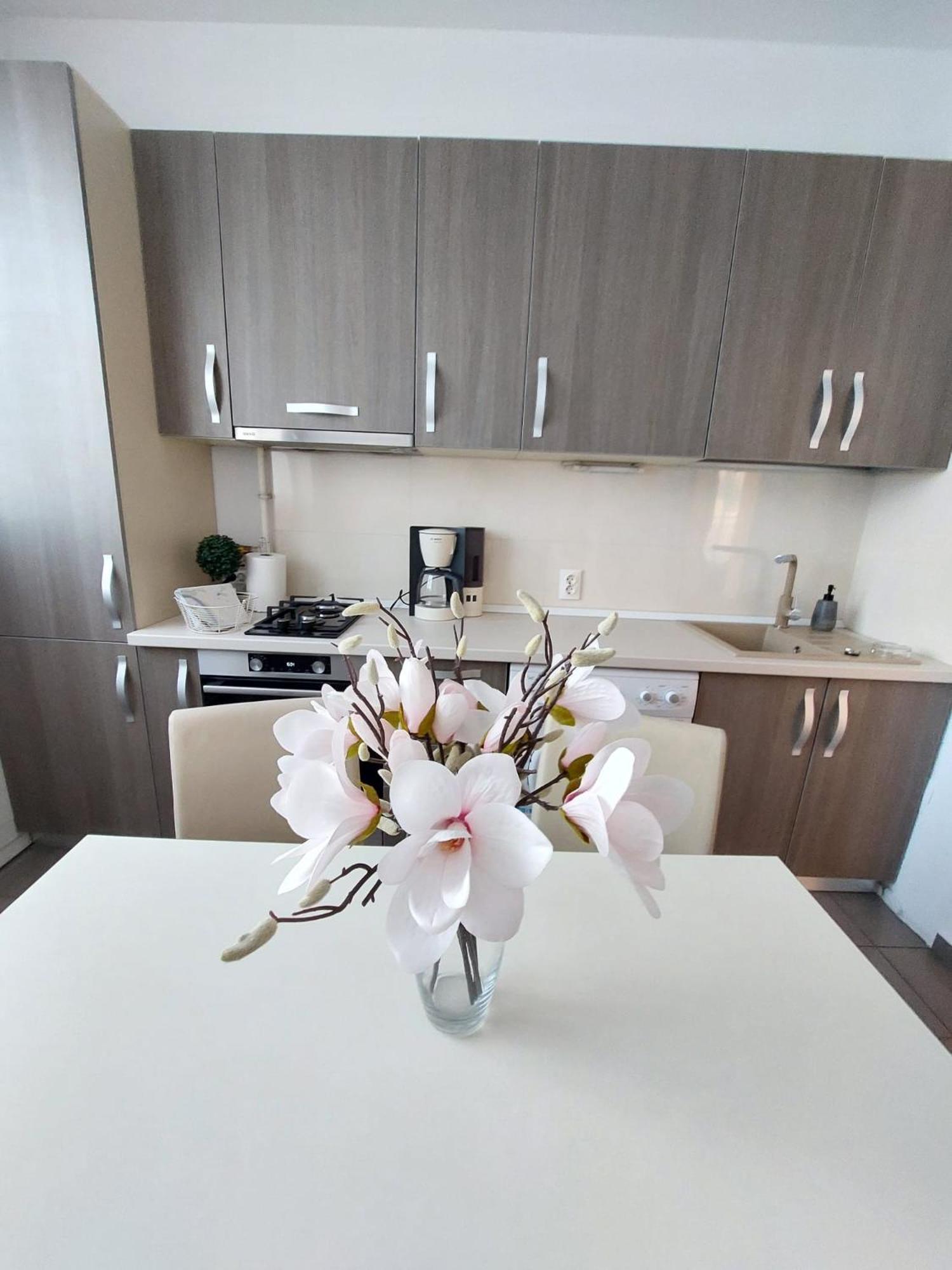 Sweet Residence Apartment Arad Bagian luar foto